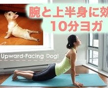 【タプタプ二の腕さよなら！】腕と上半身に効く10分ヨガ