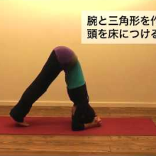 ヨガポーズ – 頭立ちのポーズ